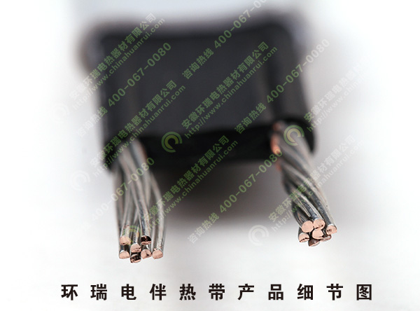 電伴熱帶細節圖