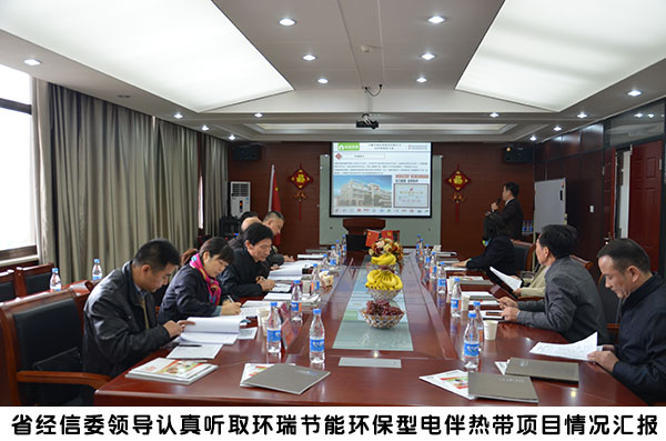 省經信委領導來環瑞考察1