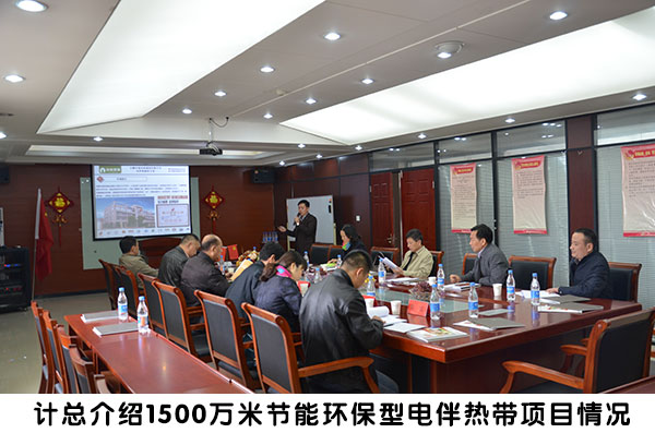 省經信委領導來環瑞考察2