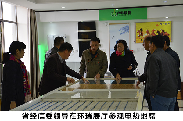 省經信委領導來環瑞考察3