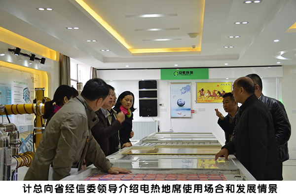 省經信委領導來環瑞考察4