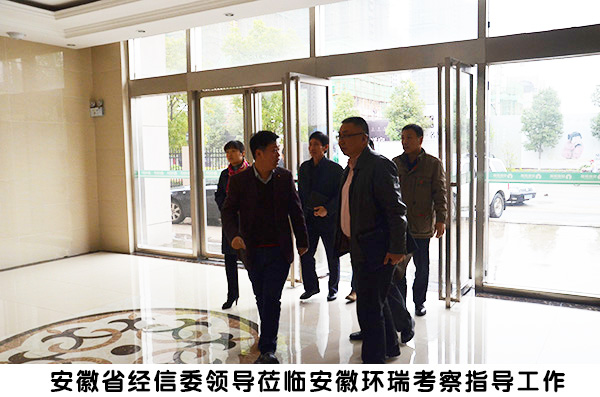 省經信委領導來環瑞考察