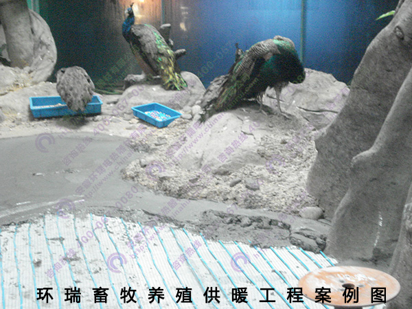 環瑞工程案例圖