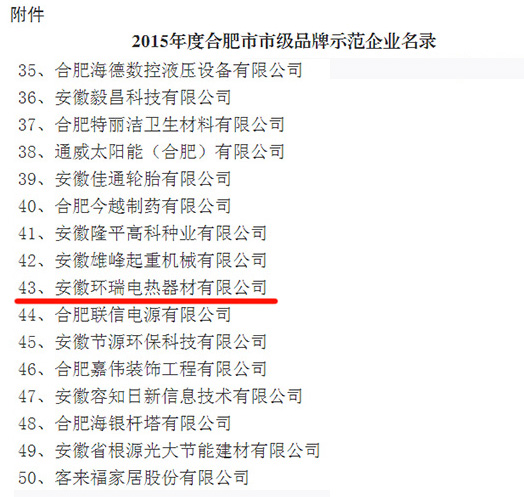 2015年合肥市品牌示范企業