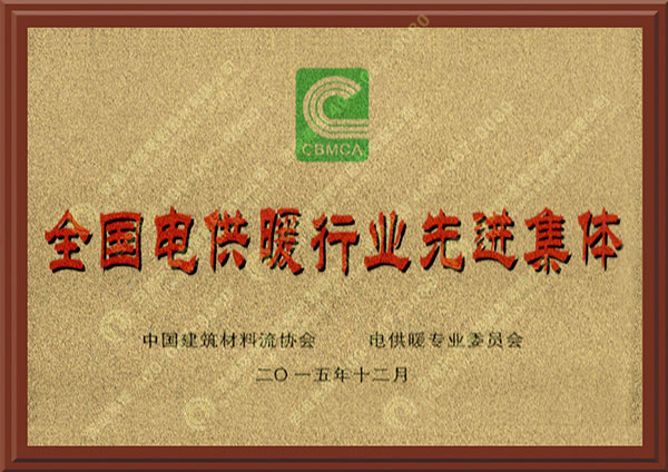 全國電供暖行業先進集體.jpg