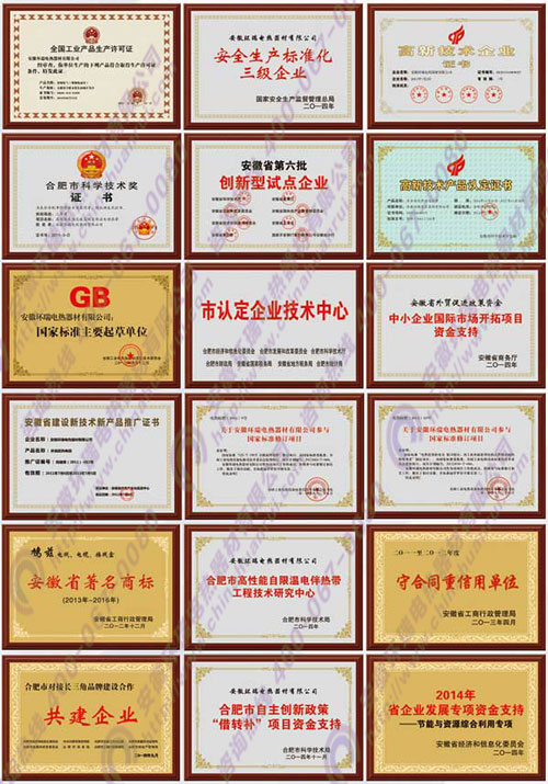 環瑞資質榮譽