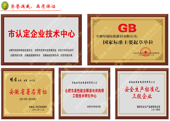 環瑞部分資質榮譽