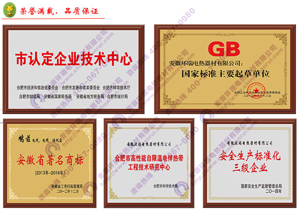 環瑞資質榮譽