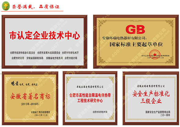 安徽環瑞榮譽資質