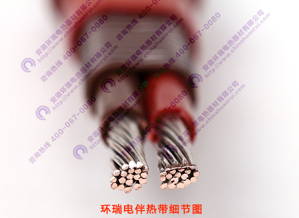 環瑞電伴熱帶細節圖
