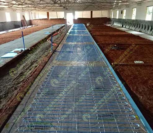 養殖場安裝電地暖現場安裝圖