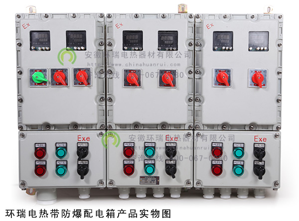 環瑞電熱帶防爆配電箱實物圖
